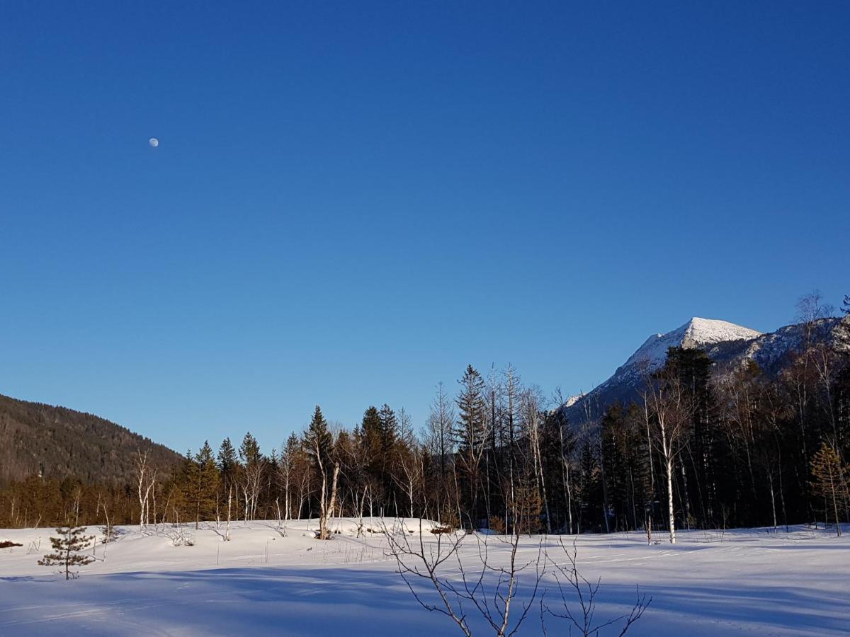 Zirbenstueberl - Chiemgau Karte Daire Inzell Dış mekan fotoğraf