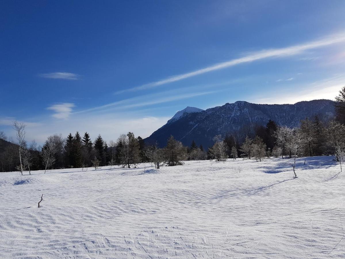 Zirbenstueberl - Chiemgau Karte Daire Inzell Dış mekan fotoğraf