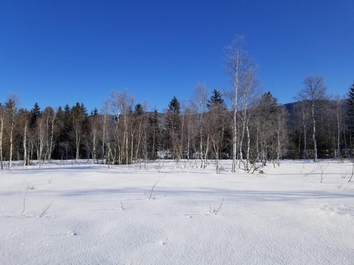 Zirbenstueberl - Chiemgau Karte Daire Inzell Dış mekan fotoğraf